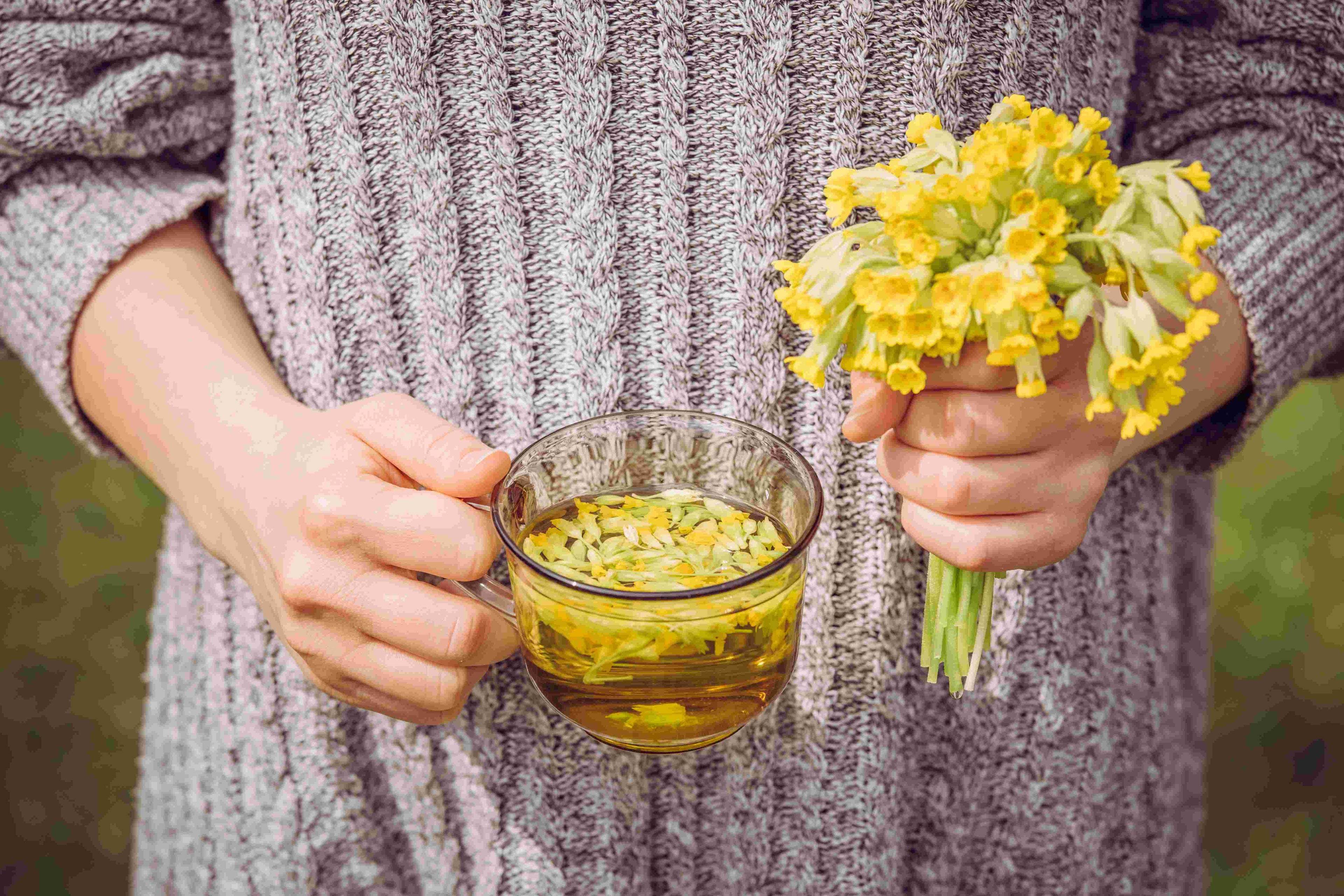 Tee aus Schlüsselblume (Primula veris). 