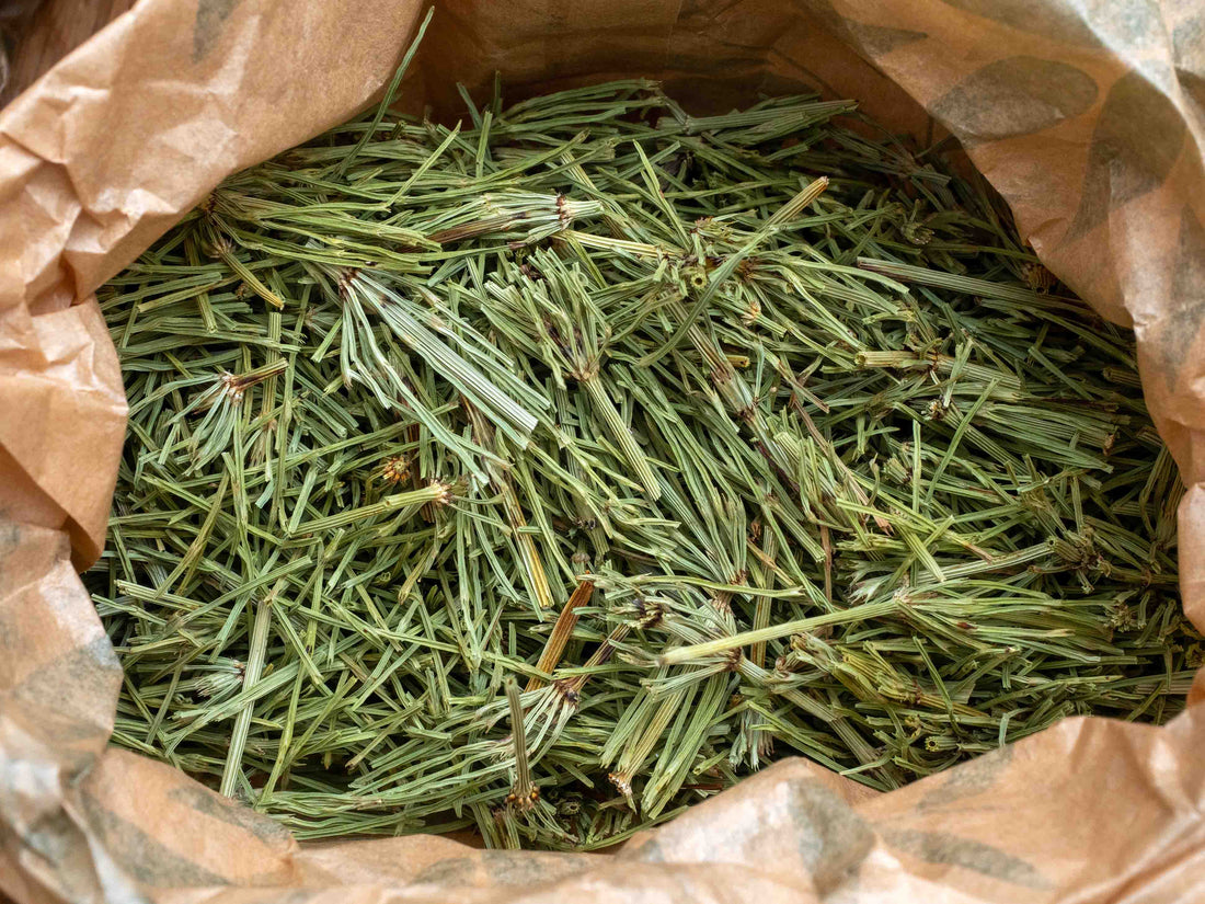 Té de cola de caballo de campo (Equisetum arevense) 