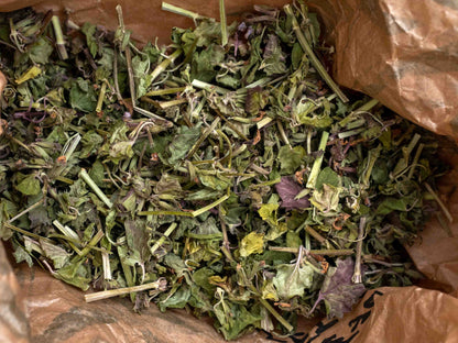 Té de hiedra molida (Glechoma hederacea) 