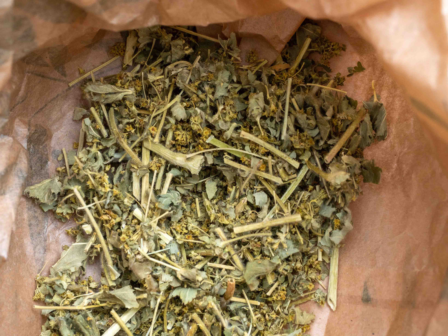 Té de manto de dama (Alchemilla vulgaris) 