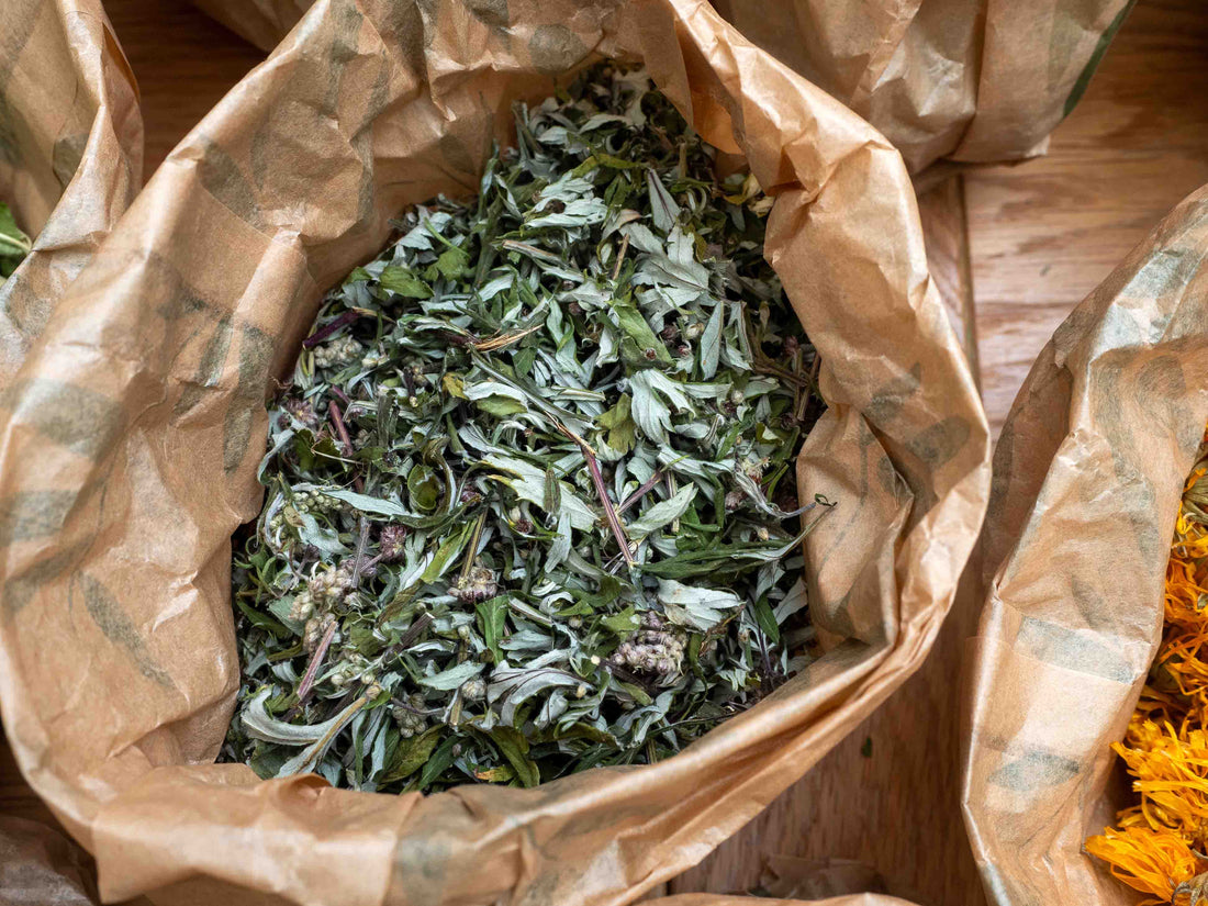 Mugwort (Artemisia vulgaris) Tea