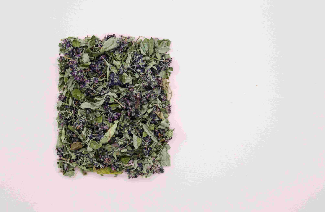 Té de orégano (Origanum vulgare) 