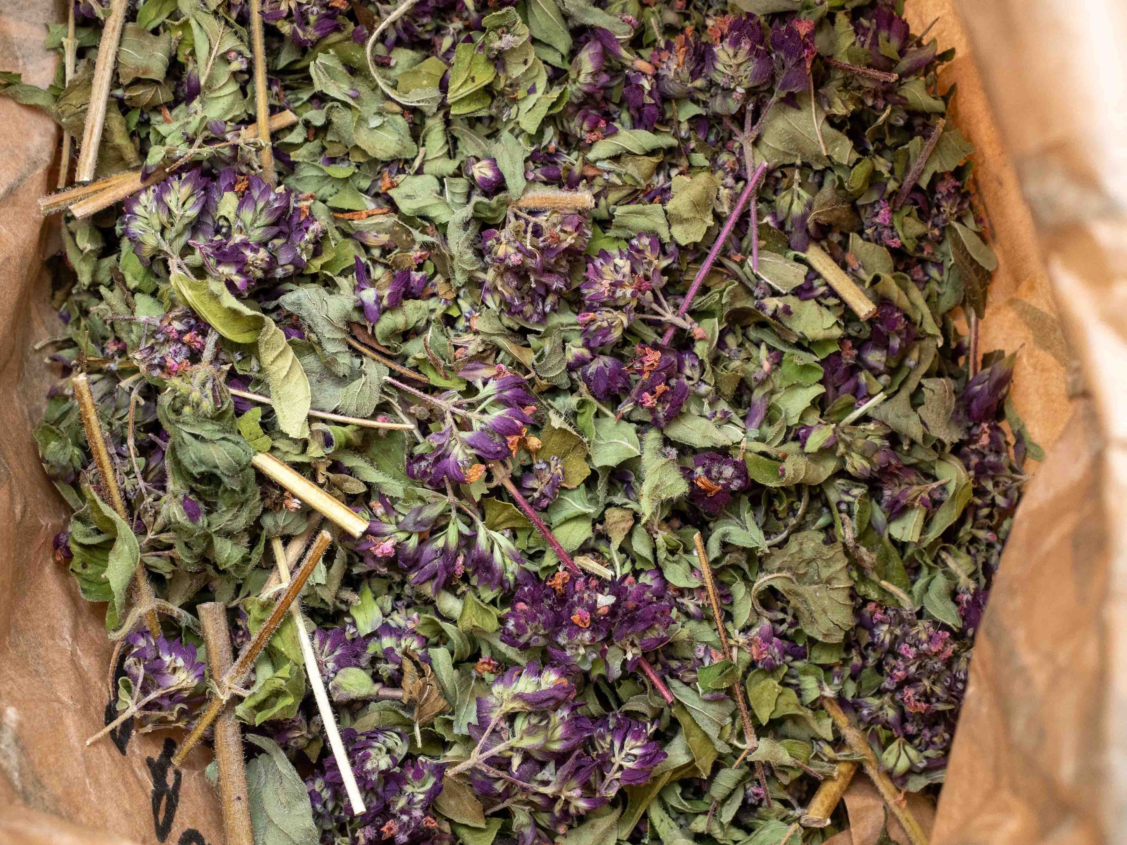 Té de orégano (Origanum vulgare) 