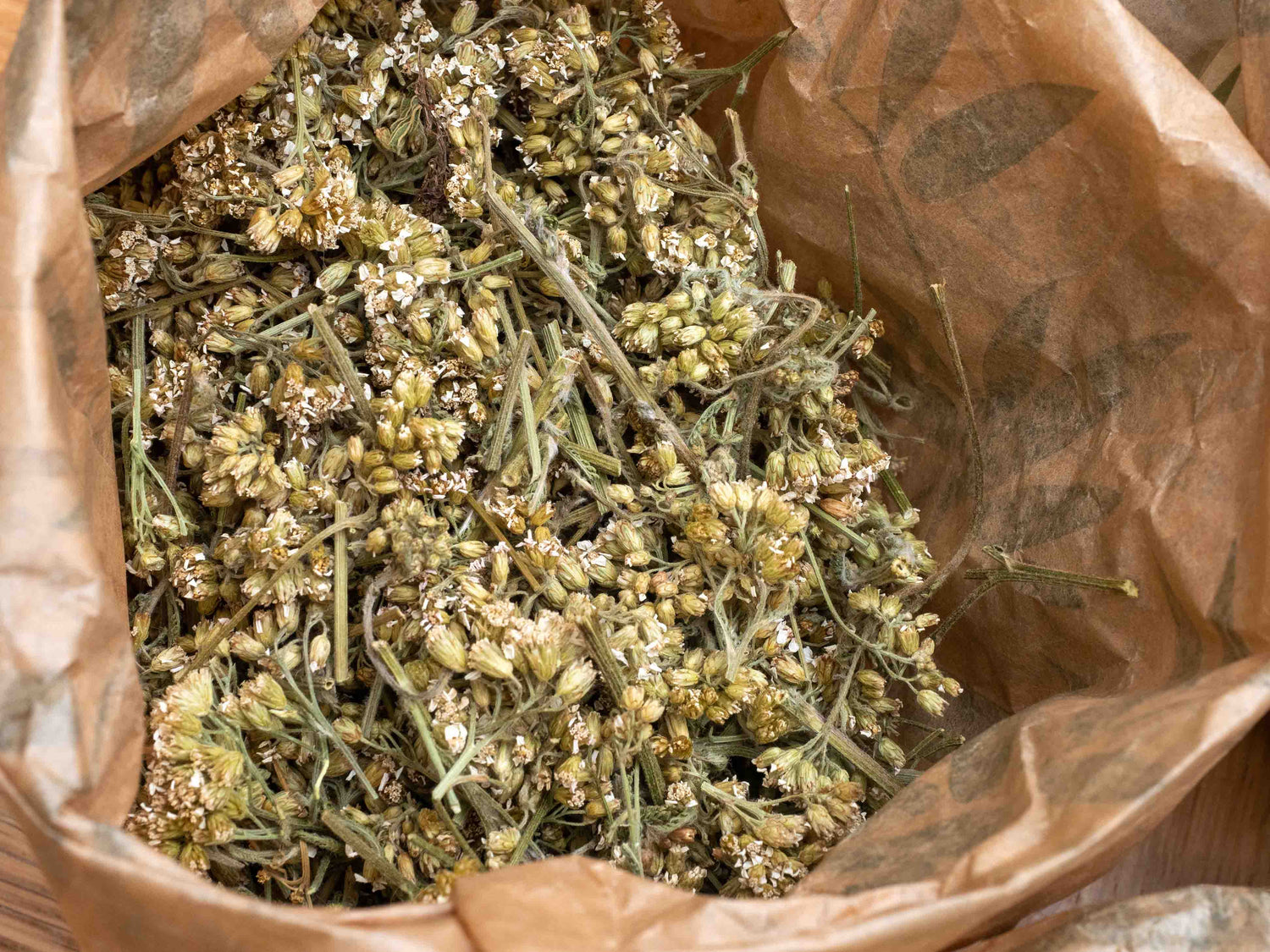 Yarrow (Achillea millefolium) Tea